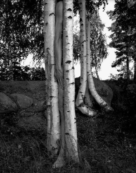 minkkinenn-percorsifotografici-3